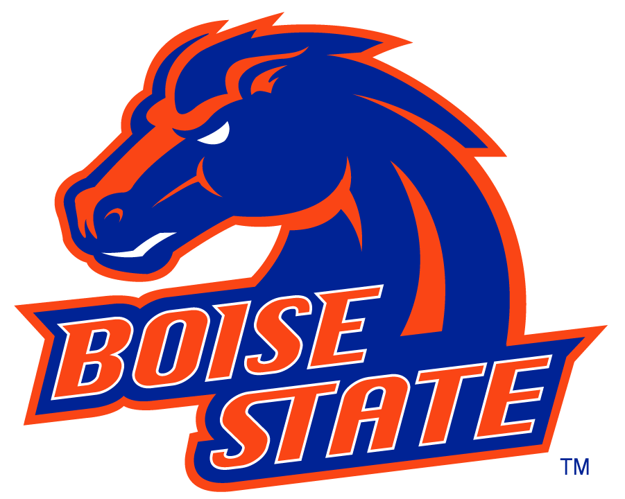 Boise State Broncos 2002-2012 Alternate Logo v5 iron on transfers for T-shirts